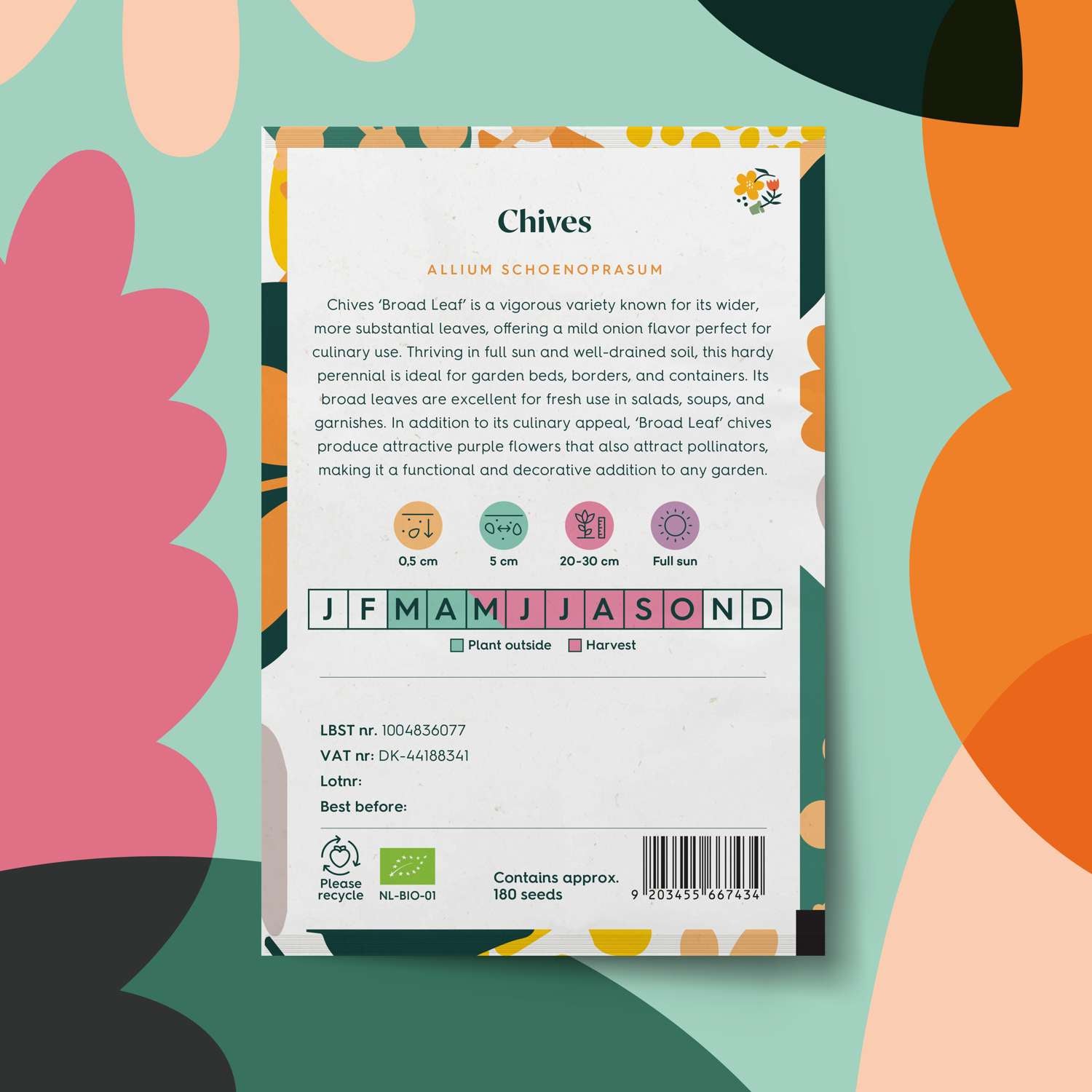 Ciboulette 'Broad Leaf' (graines BIO)